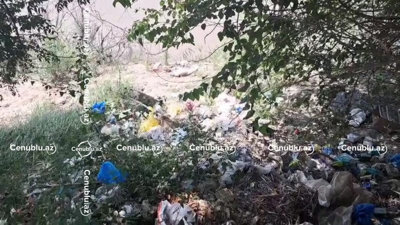 Kür çayı kömək gözləyir – Sahillər zibil içindədir