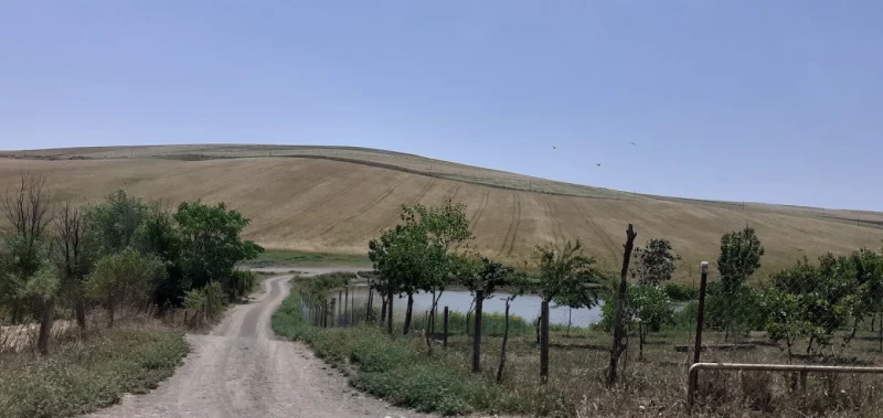 Soyuqbulaqda elektrik xətləri təhlükə saçır