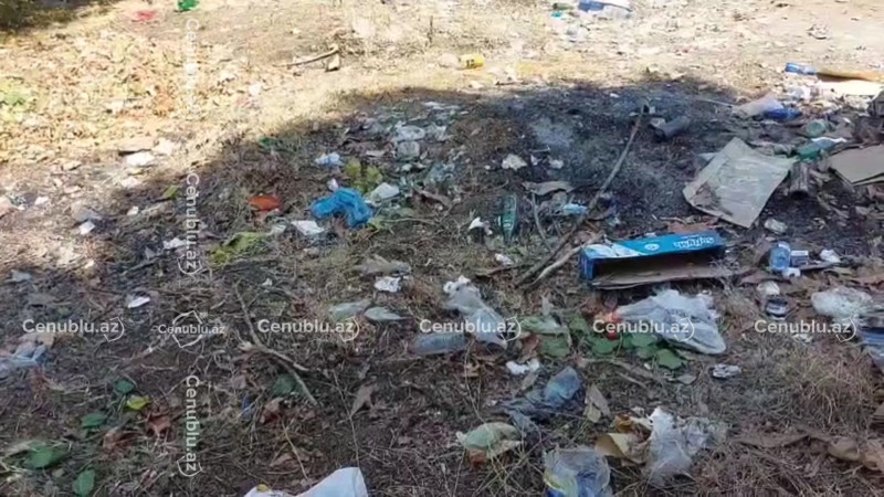 Limanda yeməkxananın arxası zibilliyə çevrilib - VIDEO