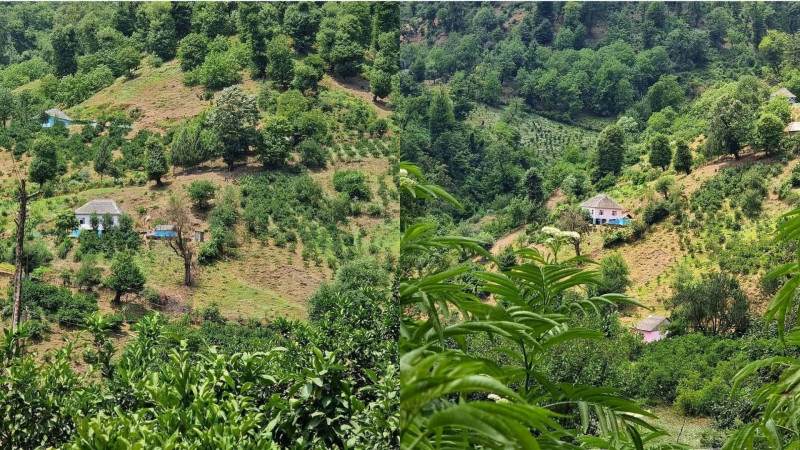 Astaranın Miki kəndi qazlaşdırılmasını gözləyir