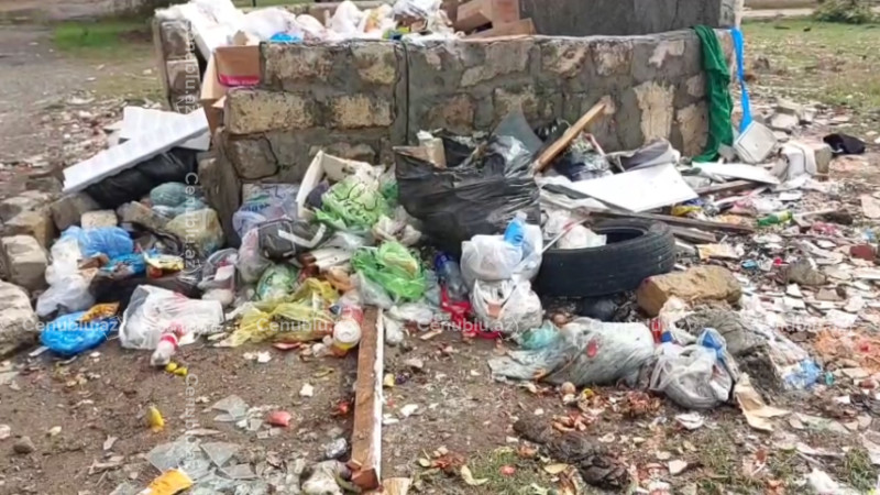 Lənkəranda günlərlə toplanmayan zibil: 2-ci mikrorayonda antisanitariya