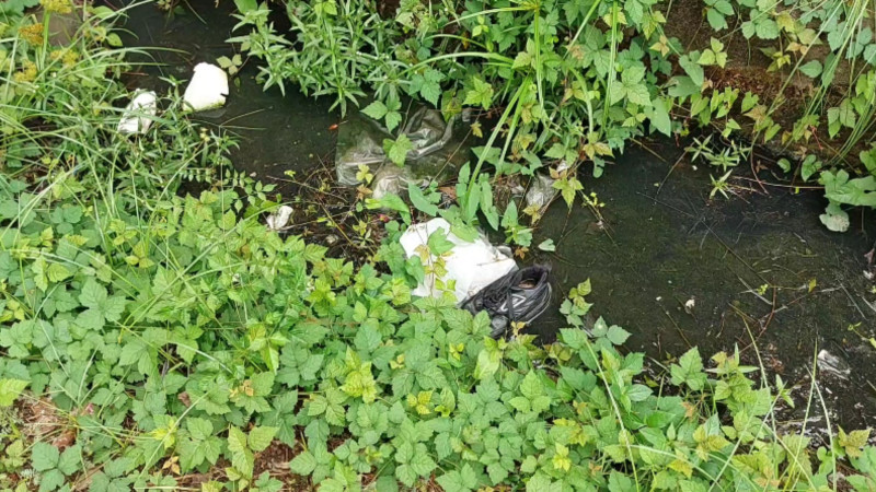 Lənkəranın bu küçəsinin sakinləri problemlər burulğanında