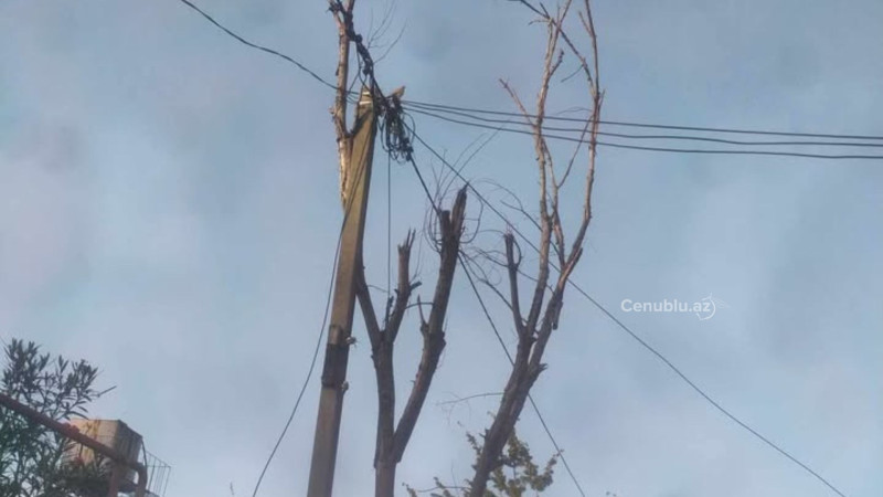 Lənkəranda elektrik kabelləri təhlükə yaradır