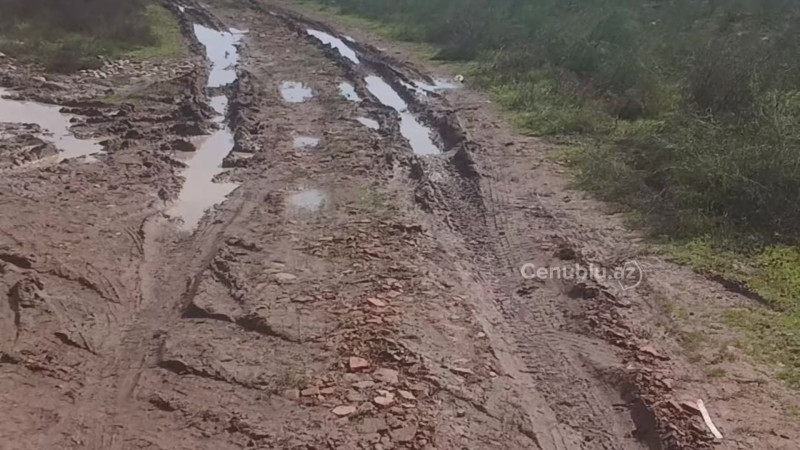 Masallıda kənd yolu palçığa qərq olub - VİDEO