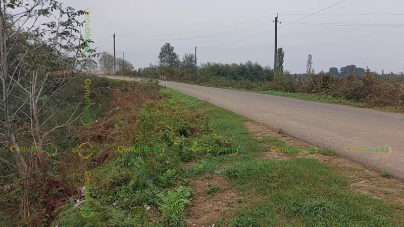 Lənkəranda çay sahili zibilliyə çevrilib