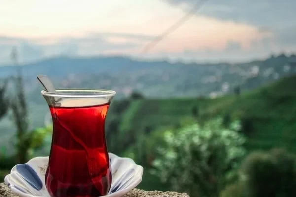 Azərbaycana 9 ayda 64,6 milyon dollarlıq çay idxal olunub
