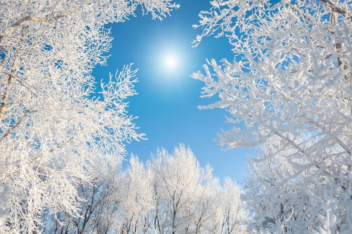 Cənubda külək güclənəcək - XƏBƏRDARLIQ