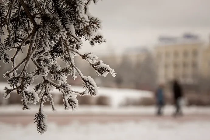 Sabah şaxta olacaq - PROQNOZ