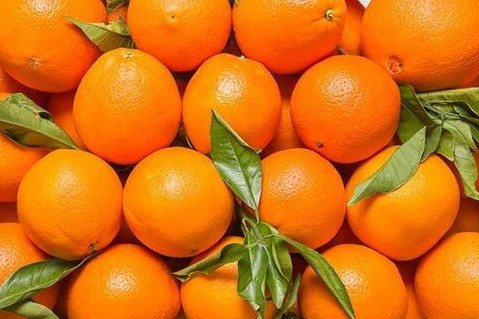 Azərbaycana rənglənmiş portağallar da gətirilib