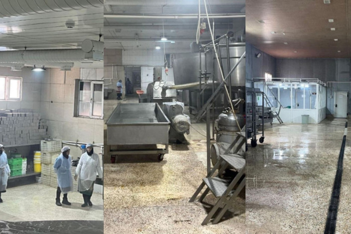 Saatlıda süd məhsulları istehsal edən müəssisədə nöqsanlar aşkarlandı
