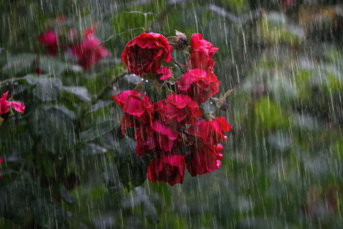 Sabah hava necə olacaq?