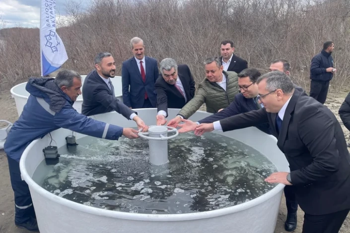 Kür çayına 4 000 ədəd çəkikimi balıq körpələri buraxılıb