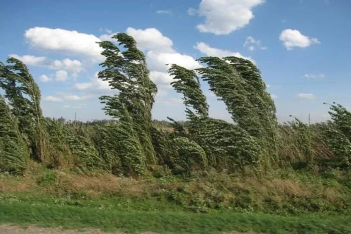 Cənub bölgəsində külək güclənəcək - XƏBƏRDARLIQ