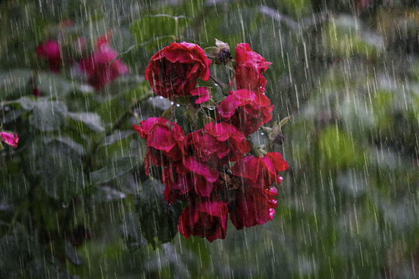 Sabah intensiv yağış yağacaq, şimşək çaxacaq