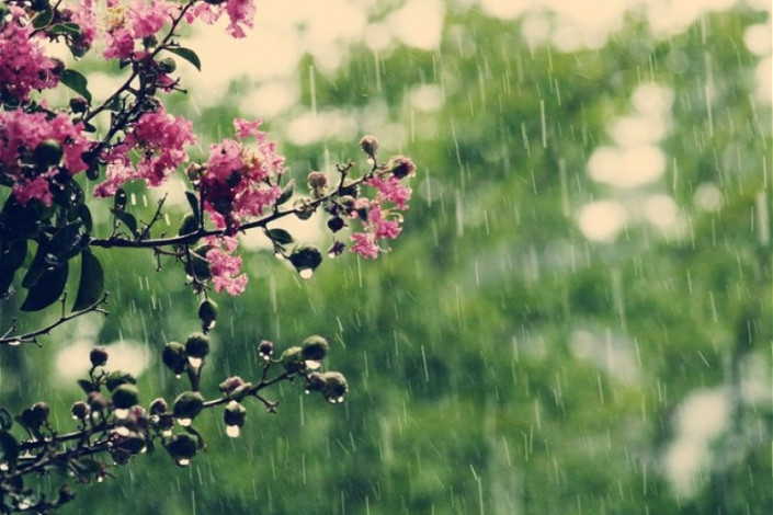 Faktiki hava açıqlanıb