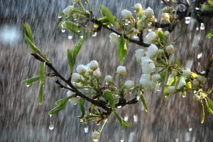 Şimşək çaxacaq, dolu düşəcək - PROQNOZ