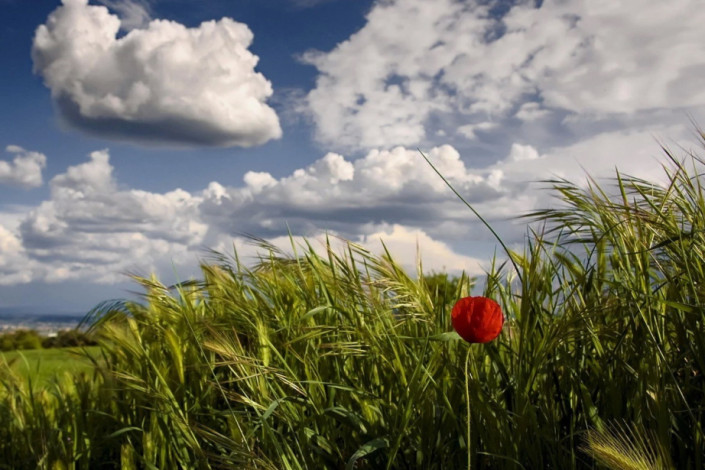 Sabah Azərbaycanda hava necə olacaq?