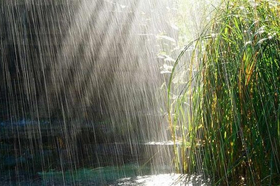 Yağıntılı hava davam edir - FAKTİKİ HAVA