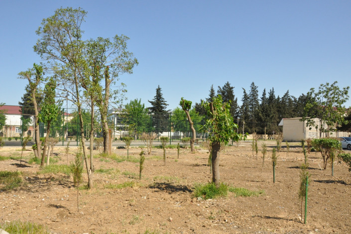 Biləsuvarda yeni park salınıb