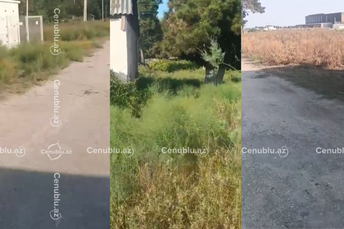Neftçalada baxımsız ərazi YANĞIN RİSKİ YARADIR
