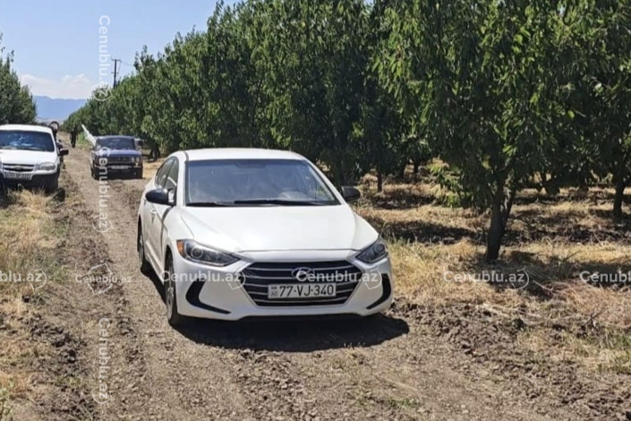 Cəlilabadda 21 yaşlı gənc suvarma hovuzunda boğulub