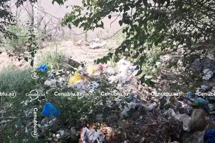 Kür çayı kömək gözləyir – Sahillər zibil içindədir