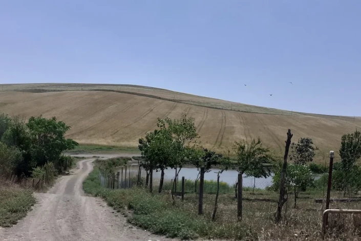 Soyuqbulaqda elektrik xətləri təhlükə saçır