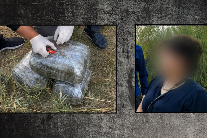İmişlidə 10 kiloqram narkotik vasitə aşkarlanıb