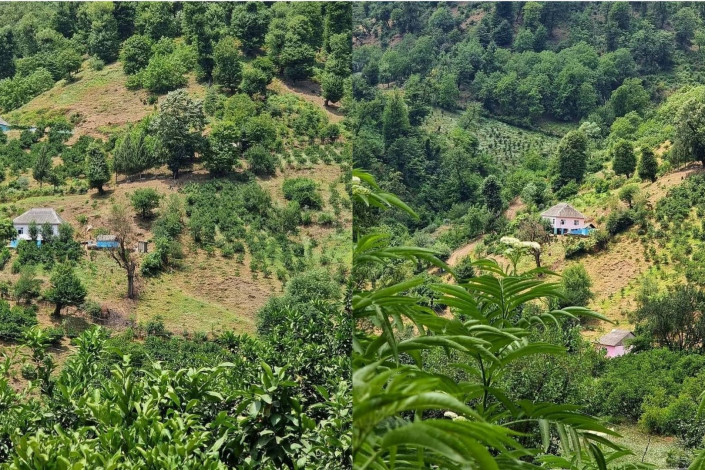 Astaranın Miki kəndi qazlaşdırılmasını gözləyir