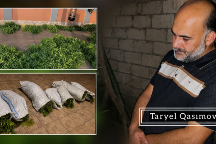 Sabirabadda narkotik tərkibli bitkilər yetişdirən şəxs həbs edilib
