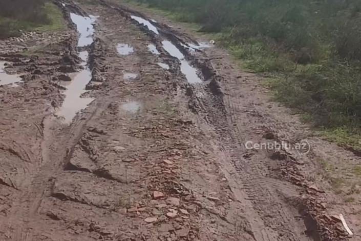 Masallıda kənd yolu palçığa qərq olub - VİDEO