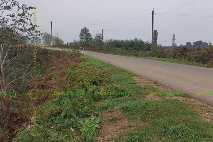 Lənkəranda çay sahili zibilliyə çevrilib