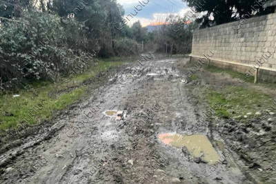 Lənkəran: bu kənddə asfalt örtüyü yoxdur