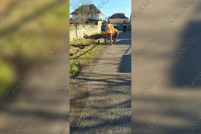 Lənkəran: məktəbə gedən yola işıq dirəkləri quraşdırılacaq