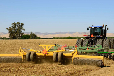 Astarada 850 hektarda şum qaldırılıb