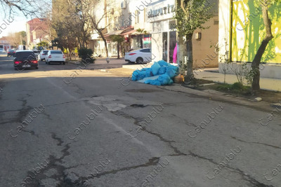 Qala Xiyabani küçəsində zibil qutularının olmamasının fəsadları