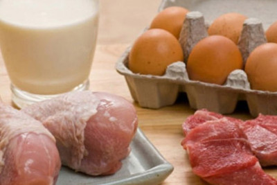 Masallıda heyvandarlıq inkişaf edir