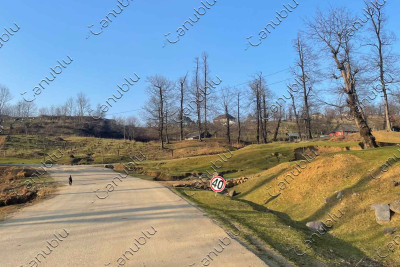 Bapbalaca boyu var, dam dolusu toyu var: Astarada sürücülərə problem yaradan cırtdan nişan