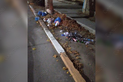 Masallı: şəhərin mərkəzi küçəsində zibillik “göz oxşayır”