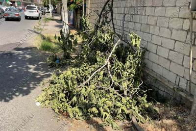 Nizami küçəsində tullantılar yığışdırılmayıb