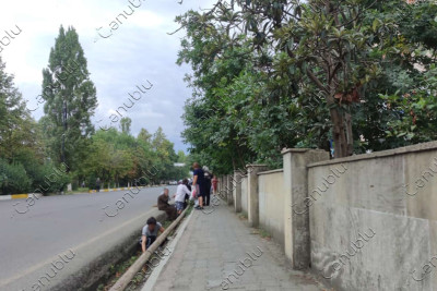 Lənkəran: bu küçədə təmizlik işləri aparılır