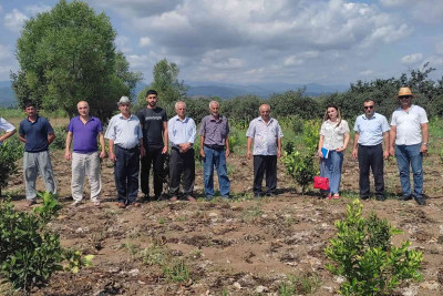 Lənkəran rayonunda fermerlərə təlim keçirilib