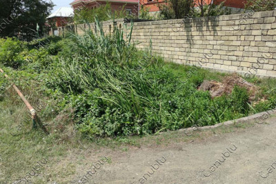 Lənkəran: bu küçənin suötürücü kanalını kol-kos basıb