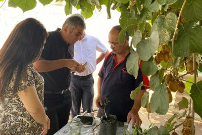 Lənkəranlı fermerlər üçün praktiki təlim təşkil olunub