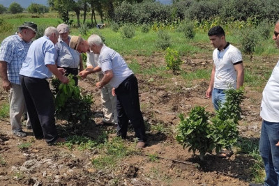 Xolmili kəndinin fermerləri suvarma təlimində iştirak ediblər