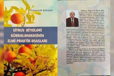 LDU-nun dosentinin monoqrafiyası çap olunub