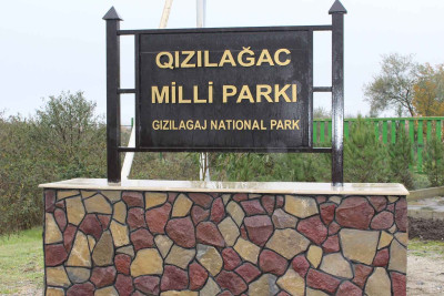 Qızılağac Milli Parkında qanunsuz ov ilə məşğul olan şəxs saxlanılıb