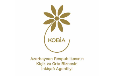 Masallıda sahibkarlığın inkişafı üçün təlim keçiriləcək