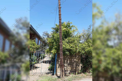 Çəpərsiz transformator, qəzalı dirəklər, yararsız elektrik xətləri - bura Lənkəranın Kosalar kəndidir