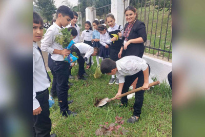 Lənkəran: məktəblilər ağacəkmə aksiyasında iştirak ediblər